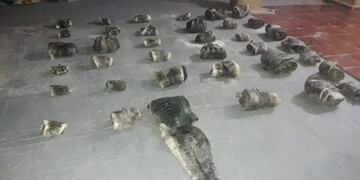 En Mojón de Fierro secuestraron cuero de yacaré faenado clandestinamente