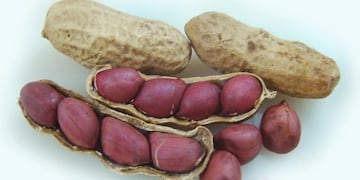 Lanzan leche de maní elaborada en Córdoba\u002E