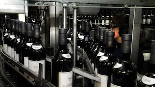 Confirman 8% de retenciones por exportación al sector vitivinícola.