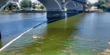 Limpieza del lago San Roque