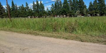 La Policía de Investigaciones se dirigió a la escena del crimen para tomar las primeras medidas del caso\u002E (PDI)