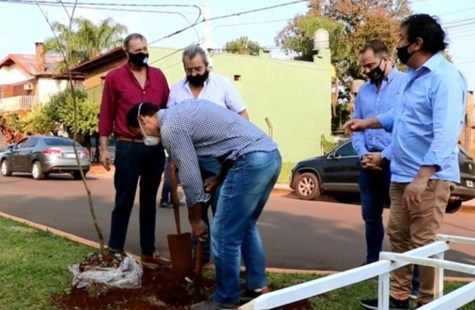 Plantaron y regalaron plantines por el Día del Árbol