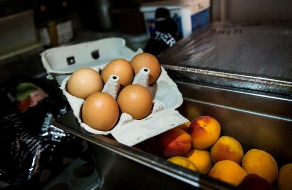 De qué se trata el escándalo de los huevos con insecticida que afecta a 17 países europeos y a Hong Kong