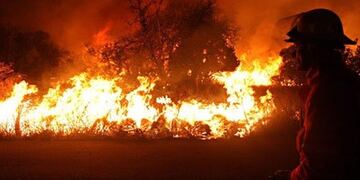 Gran parte de los incendios forestales son provocados intencionalmente y la gente no hace caso ante los reiterados controles\u002E
