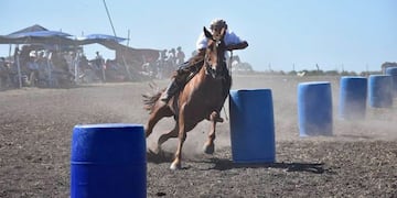 Se produjo un extraño choque de caballos en una fiesta de doma en Entre Ríos