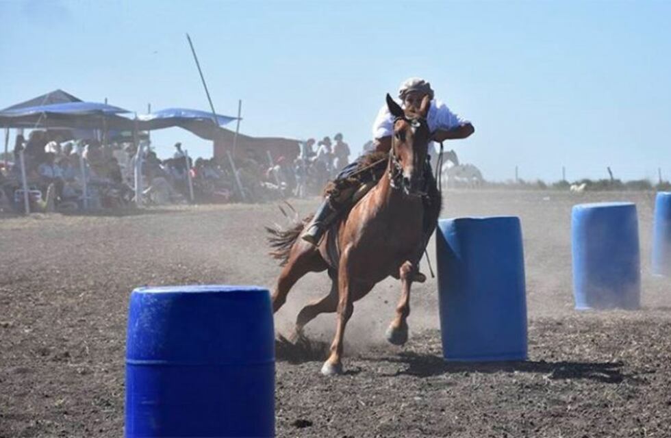Se produjo un extraño choque de caballos en una fiesta de doma en Entre Ríos