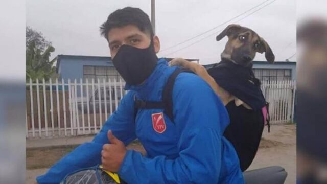 Un proteccionista adoptó a una perrita y ahora trabaja como delivery junto a ella