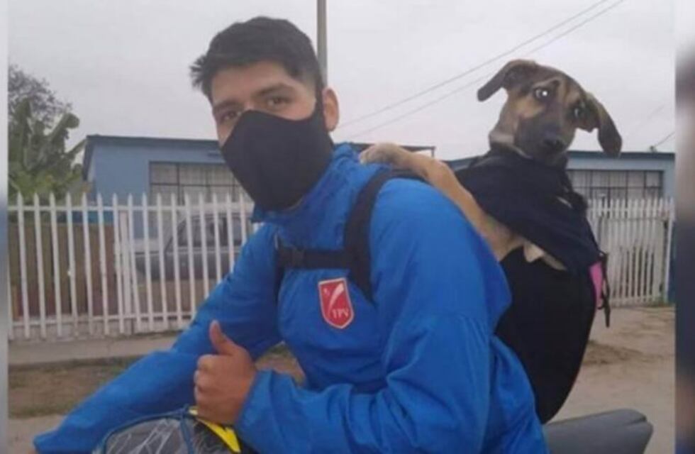 Un proteccionista adoptó a una perrita y ahora trabaja como delivery junto a ella