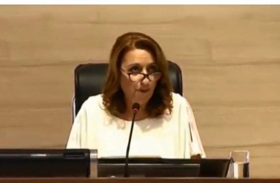 Fein solicitó ayuda al Concejo por los fondos para los Bajos del Saladillo