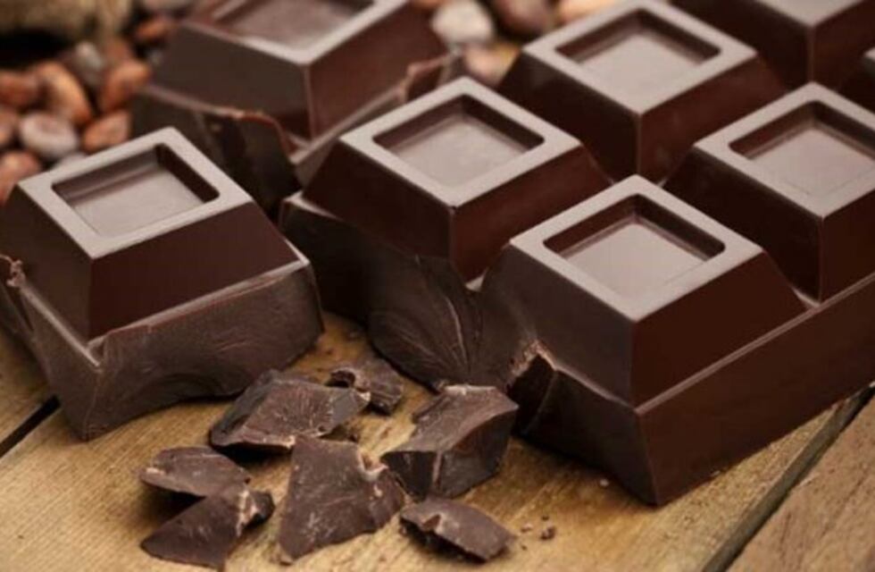 ¿Por qué los perros no deben comer chocolate?