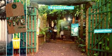 Luego de 14 años el aquarium cerró sus puertas\u002E