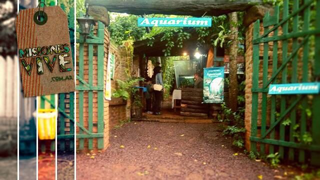 Luego de 14 años el aquarium cerró sus puertas\u002E
