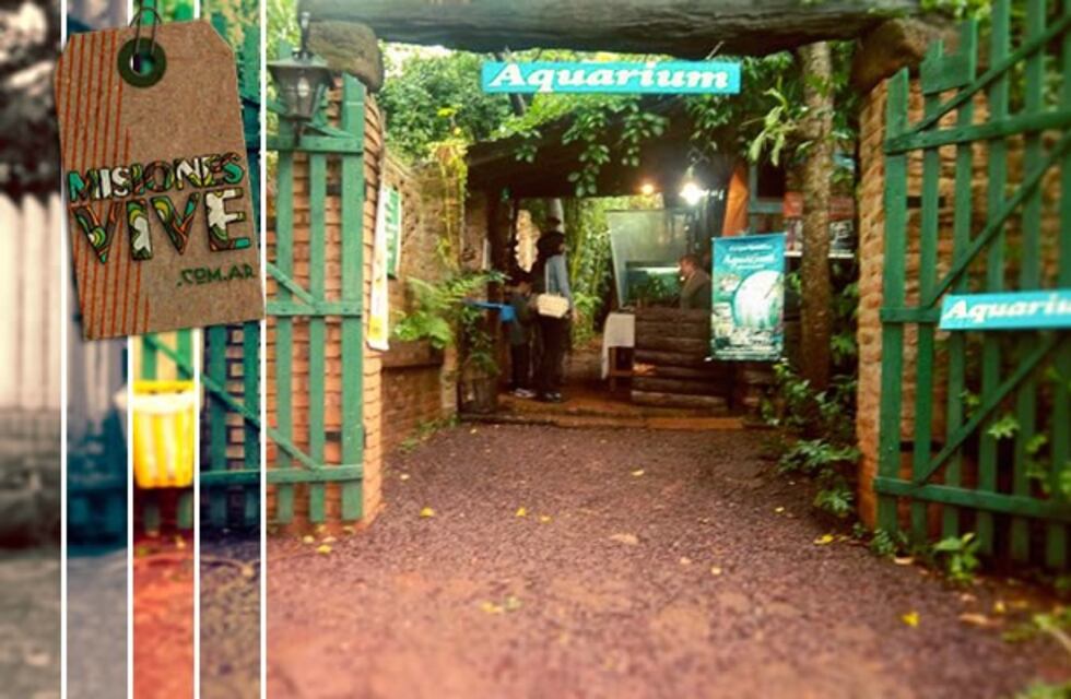 El Aquarium de Montecarlo cerró y liberó 100 peces al río Paraná