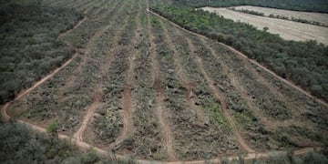 Imagen archivo\u002E Desmontes en el Chaco durante octubre y noviembre de 2017 para instalar campos en la zona\u002E