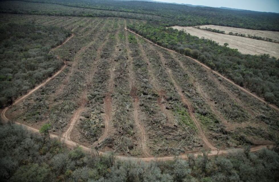 Inundaciones en Chaco: Greenpeace apuntó contra el Gobierno provincial