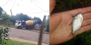 El vecino registró el momento con su teléfono celular\u002E