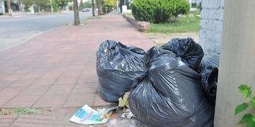 Recolección de basura en Tandil: cómo será el uso de containers