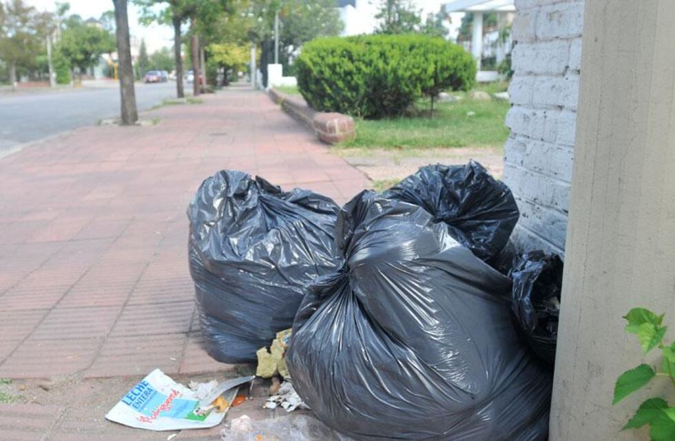 Recolección de basura en Tandil: cómo será el uso de containers