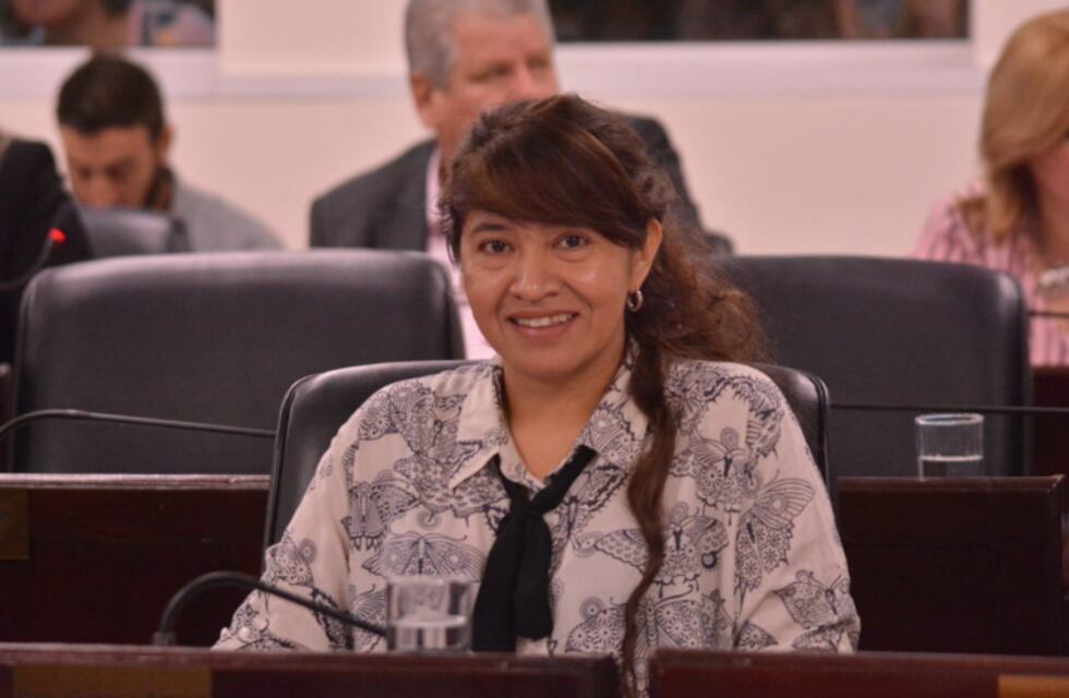 Andrea Charole, diputada indígena: “Tengo muy claro que represento a mis hermanos y también al pueblo chaqueño”