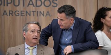 Los diputados de La Libertad Avanza Gabriel Bornoroni y Nicolás Mayoraz en el debate de la Ficha Limpia (Foto: HCDN)