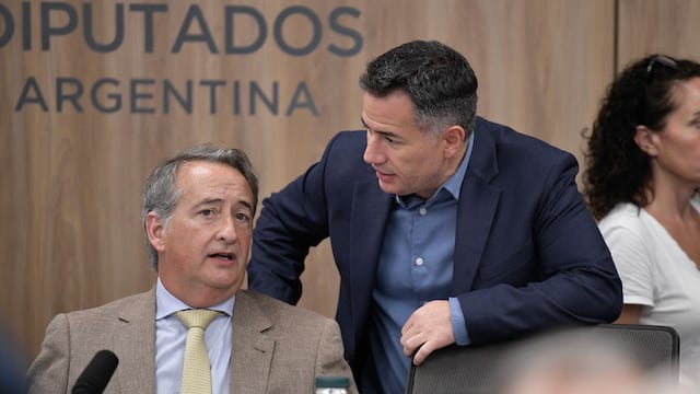 Los diputados de La Libertad Avanza Gabriel Bornoroni y Nicolás Mayoraz en el debate de la Ficha Limpia (Foto: HCDN)