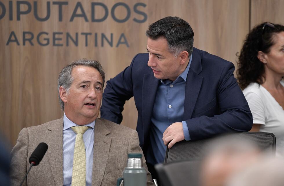 La nueva Ficha Limpia tiene dictamen en Diputados y quedó a un paso de la aprobación
