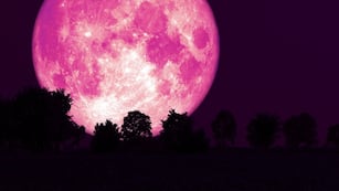 Luna de Fresa de junio 2025: cuando será y qué oportunidades traerá para estos 3 signos del zodiaco.