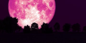 Luna de Fresa de junio 2025: cuando será y qué oportunidades traerá para estos 3 signos del zodiaco.