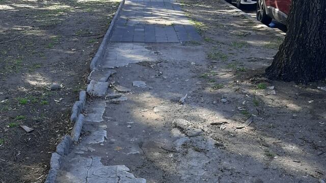 Solicitan la reparación de veredas del Parque Sarmiento