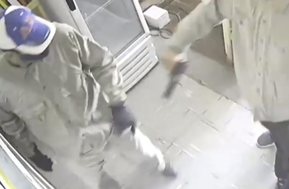 Video: entraron a robar a un comercio y terminaron peleando entre ellos