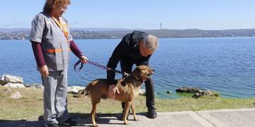 Esteban Avilés, intendente.