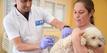 Campaña gratuita de vacunación y desparasitación para perros y gatos en Córdoba.