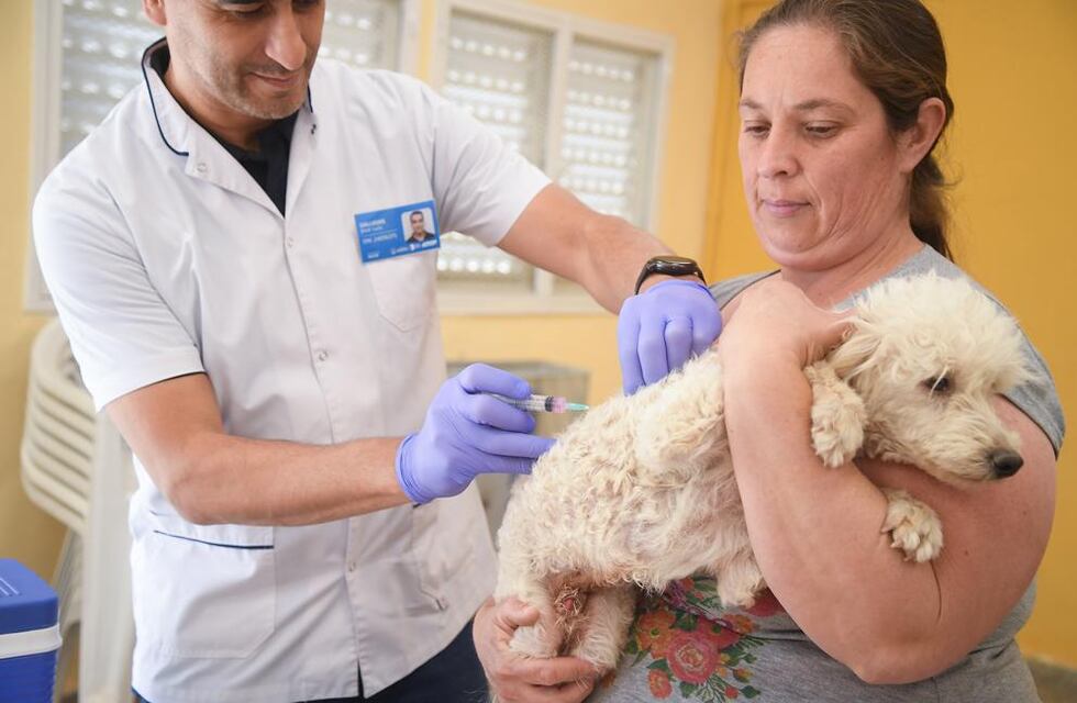 Lanzaron una campaña de vacunación y desparasitación para mascotas en Córdoba
