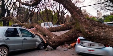 El fuerte viento provocó enormes destrozos en Rosario. (@MFernandaRey)