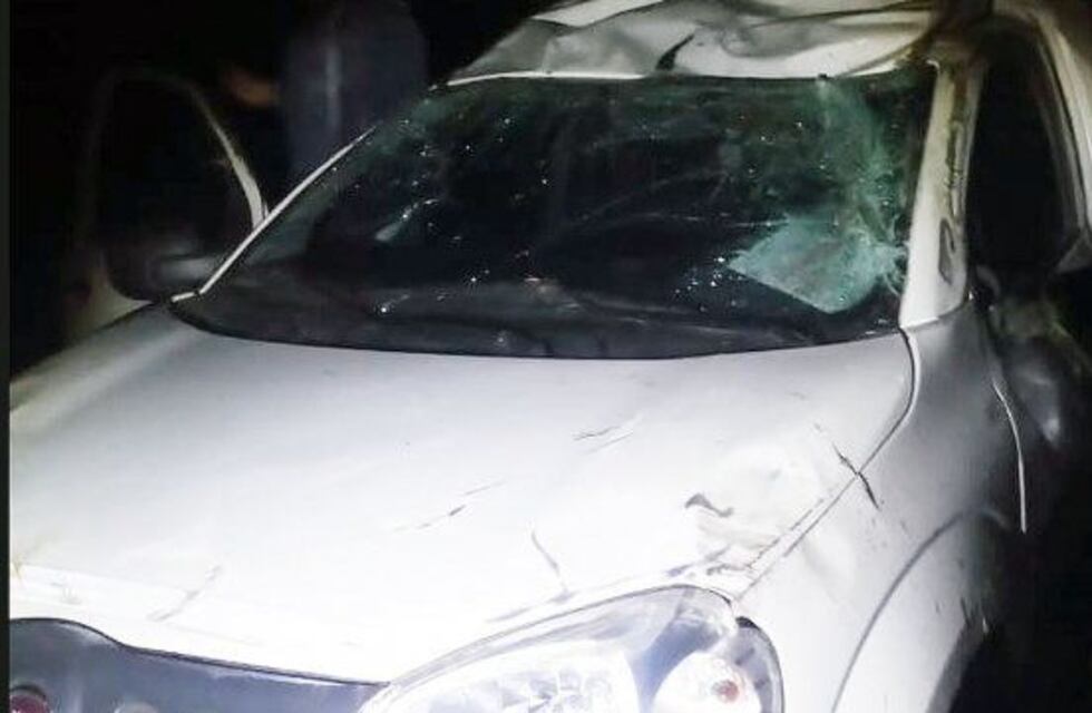 Esquivaron un ciervo y volcaron en Ruta 18