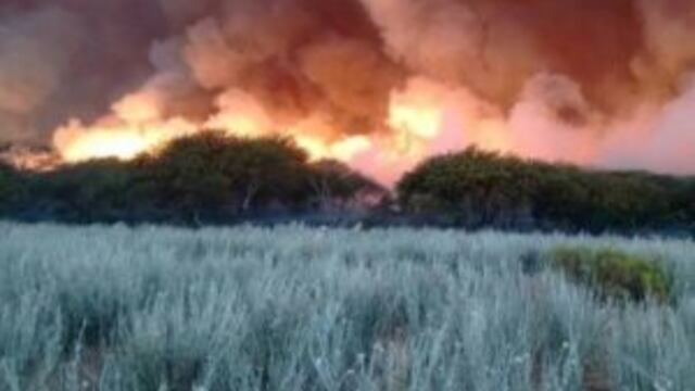 Incendios en La Pampa