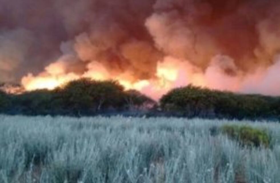 Incendios en La Pampa: ya se quemaron 680 mil hectáreas