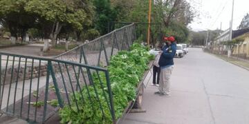 Una familia salteña regaló la cosecha de su propia huerta a sus vecinos (Facebook Prensa Guachipas La Viña)