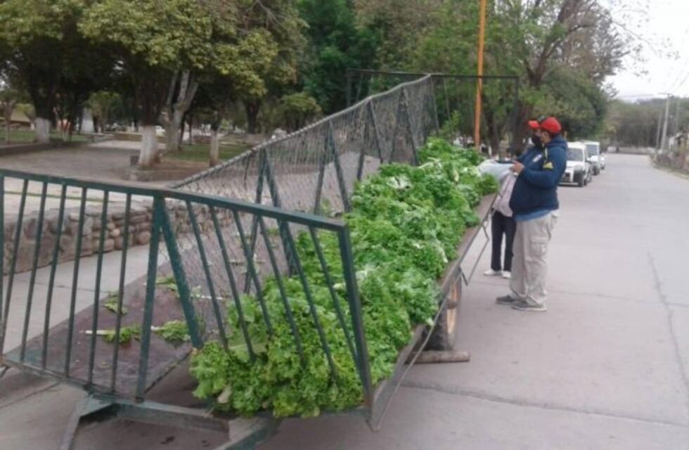 Una familia salteña regaló la cosecha de su propia huerta a sus vecinos