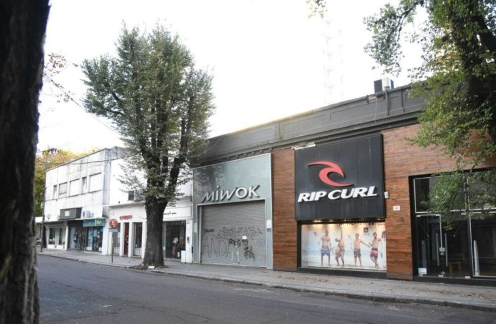 La Cámara de Comercio Industria y Servicios de La Plata reclama medidas de auxilio tras 120 días de inactividad