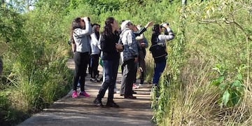Avistaje de aves en la Reserva Itá de Posadas\u002E (M\u002E de Posadas)
