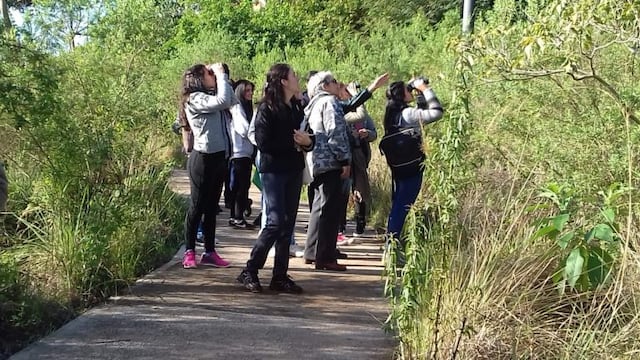 Avistaje de aves en la Reserva Itá de Posadas\u002E (M\u002E de Posadas)