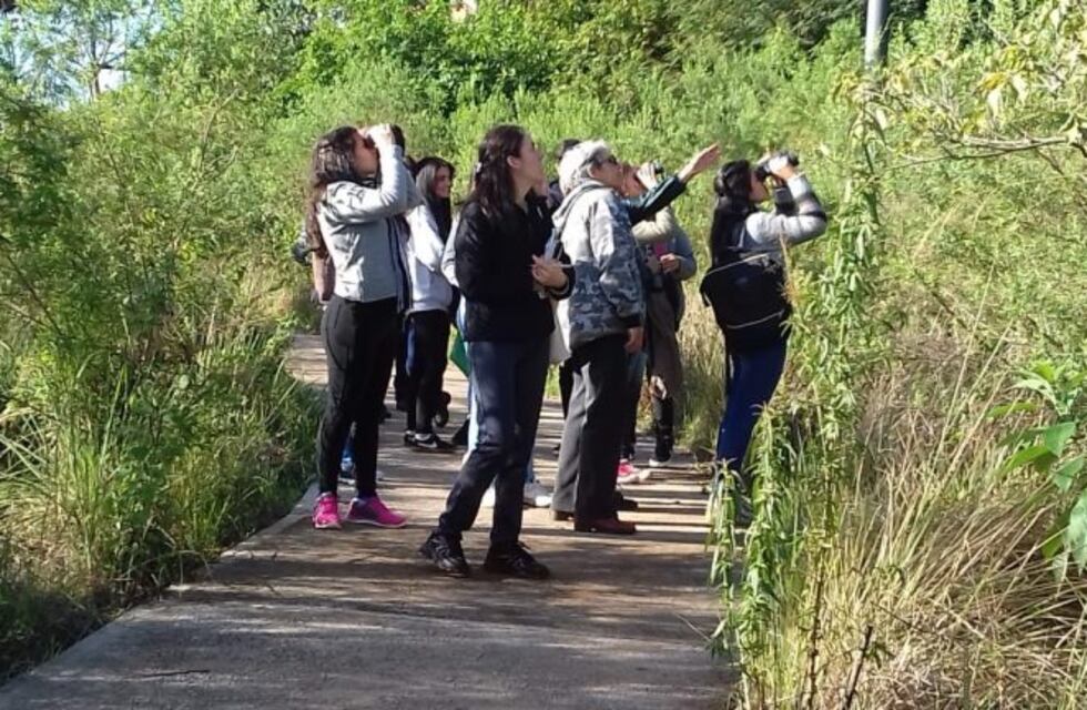 Hoy, avistaje de aves gratis en la Reserva Urbana del Arroyo Itá