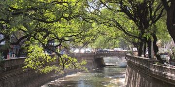 Cañada - Hernán Bustos