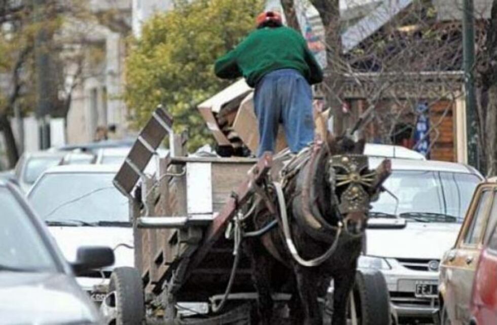 Carreros piden que se reconozca su derecho a trabajar y el cambio de caballos por bicis o motos