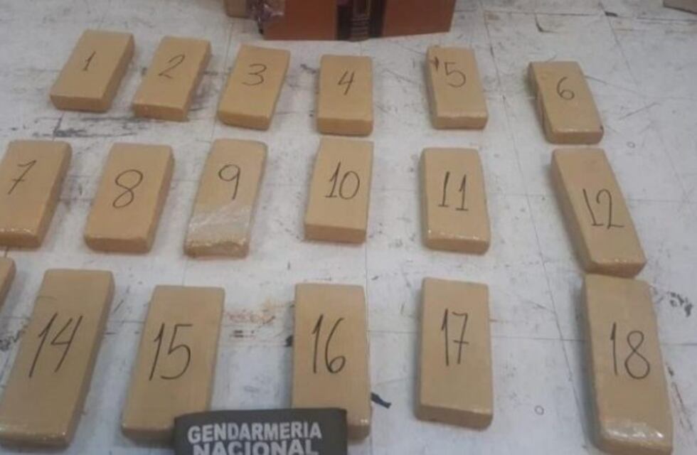 Secuestraron 15 kilos de marihuana en la Terminal de Mendoza
