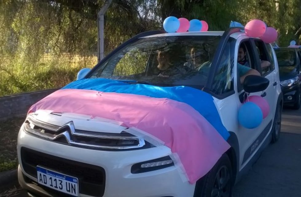 Con mis hijos no te metas: bocinazo contra la ideología de género