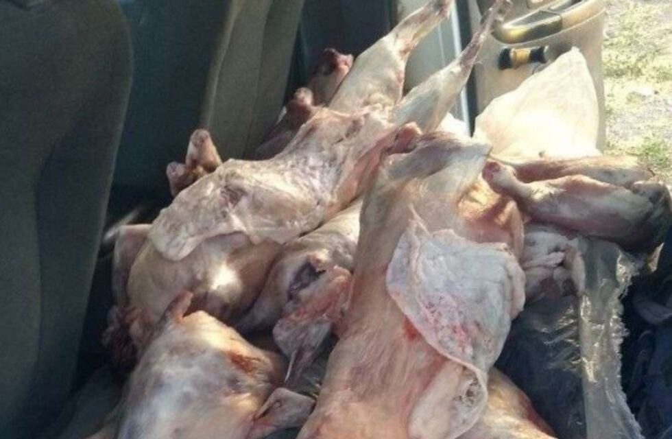 Transportaban chivos faenados en una camioneta de Vialidad de Mendoza
