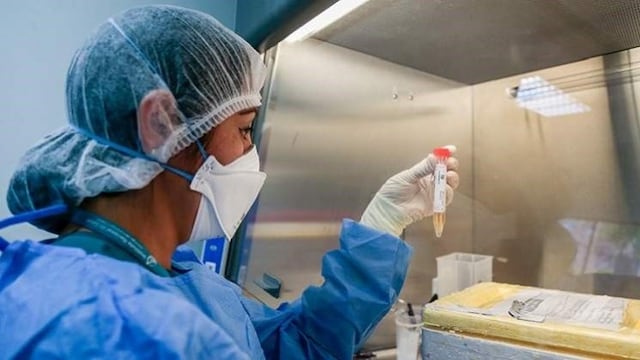 Estudios de Coronavirus. (Foto ilustrativa)