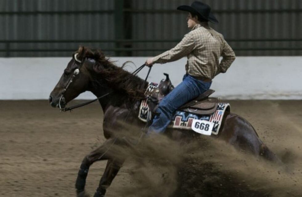Rienda, por primera vez en el Jockey Club Córdoba